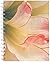 Amaryllis Collection Wire-O Bound Journal by Starr Ockenga