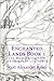 Enchanted Lands Book 1: The...