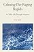 Calming The Raging Rapids: ...