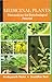 Medicinal Plants by Hrudayanath Thatoi