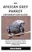 MY AFRICAN GREY PARROT INFO...