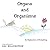 Organs and Organisms: An Ex...