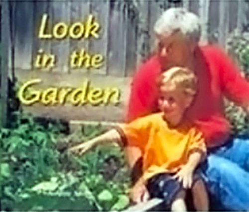 Look in the Garden: Take-Home Book (Rigby Flying Colors)