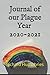Journal of our Plague Year 2020 - 2021