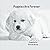 PUPPIES ARE FOREVER: Poems ...
