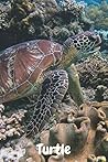 Turtle: Amazing Notebook