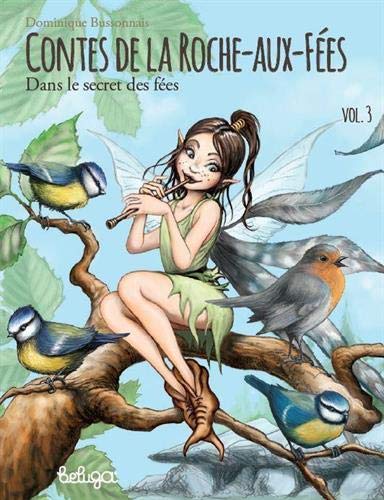 Dans le secret des fées (Paperback)