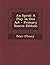 An Sprid: A Play in One Act - Primary Source Edition (Irish Edition)