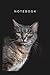 Cat notebook
