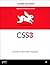 CSS3 Le guide Quickstart (French Edition)