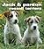 Jack et Parson russell terrier