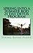 Spring Into A Summer Bod 21 Day Detox Program by Spring Rayne Paone