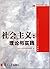 思想政治理论课系列·社会主义：理论与实践