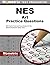 NES Art Practice Questions:...