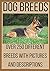 Dog Breeds: over 250 different breeds with pictures and descriptions