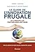 Le guide de l'innovation frugale - Les 6 principes clés pour faire mieux avec moins