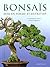 bonsais - mise en forme et ...