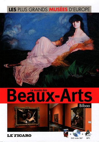 le musee des beaux-arts, bilbao - volume 22 (Paperback)