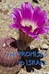 Promises of Israel