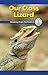 Our Class Lizard: Breaking Down the Problem (Computer Science for the Real World)
