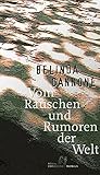 Vom Rauschen und Rumoren der Welt (Edition Converso) (German Edition)