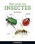 Mini-guide des insectes