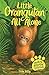 Little Orangutan All Alone by Tilda Kelly