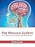 The Nervous System: A Cellular and Molecular Approach