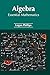 Algebra: Essential Mathematics
