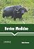Bovine Medicine by Katie Stevens