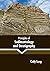 Principles of Sedimentology and Stratigraphy by Cody Long
