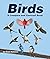 Birds: A Compare and Contrast Book