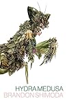 Hydra Medusa Hydra Medusa
