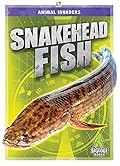 Snakehead Fish