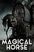 MAGICAL HORSE: A Magical Jo...