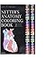 Netter's Anatomy Coloring Book