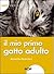 Il mio primo gatto adulto. ...