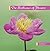 The Brilliance of Flowers by Clare Dawson