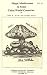 Magic Mushrooms in Some Third World Countries by John W. Allen