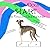 Hart the Italian Greyhound
