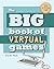 The Big Book of Virtual Games by Steven Peck