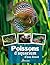 Poissons d'aquarium d'eau d...