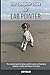 The Complete Guide for Lab Pointer: The essential guide to being a perfect owner and having an obedient, healthy, and happy Lab Pointer