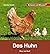 Das Huhn: Schauen und Wissen!
