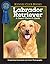 Labrador Retriever (Compani...
