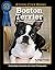 Boston Terrier (CompanionHo...