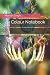 Colour Notebook