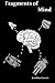 Fragments of Mind