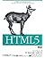 HTML5 Secret