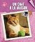 Un chat à la maison